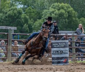 Seasoned and consistent barrel horse for sale