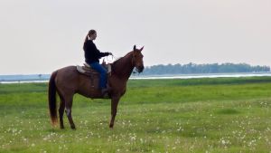 Rope, Ranch, PIckup and more!