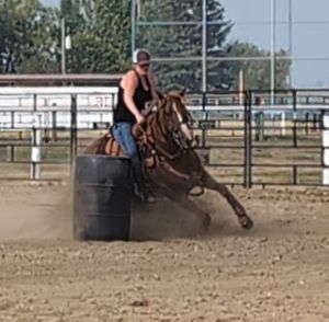 Seasoned/Experienced FUN Barrel Gelding 