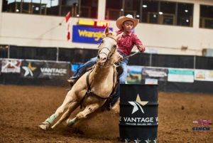 11 Yr Old 1D / 2D Mare - Youth Suitable