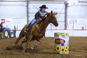 Solid Finished Barrel Horse! Youth suitable