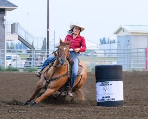 Solid and Honest Barrel Horse