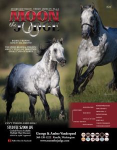 JUDGE CASH/INHERIT THE WIN 2015 AQHA STALLION 
